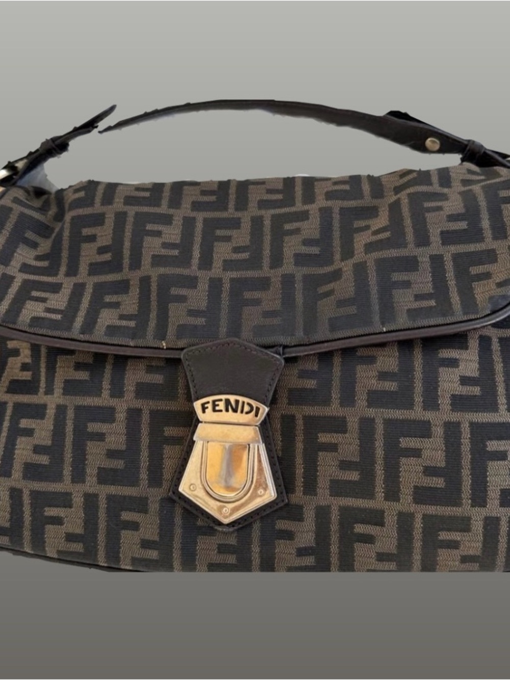 Fendi Monogram Shoulder Bag in Black and Brown